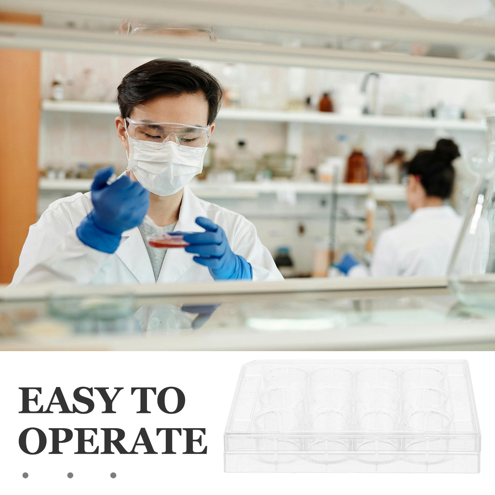 12 Well Transparent Cell Cultu - Lab Equipment review and price